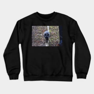 Fox Crewneck Sweatshirt